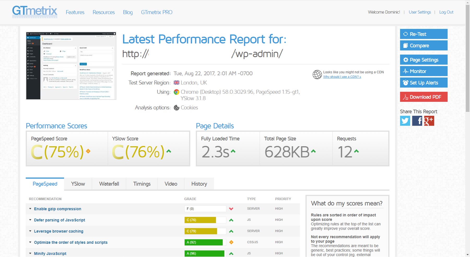 GTmetrix: How To Use The Speed Test Tool